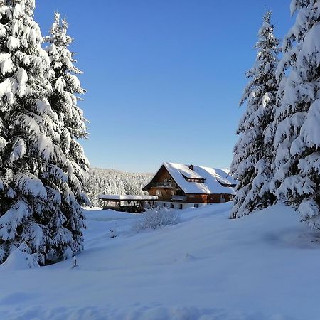 Ferienwohnung Heustüble Hinterzarten Exterior foto